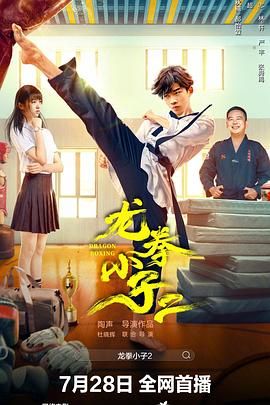 龙拳小子2 