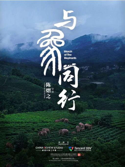 与象同行 