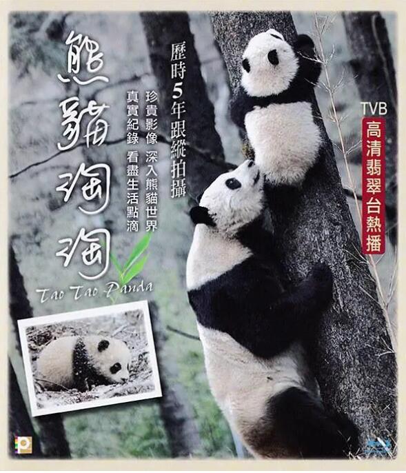 熊猫淘淘 
