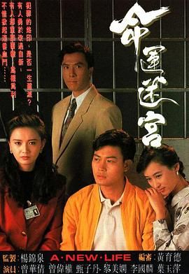 命运迷宫普通话版 