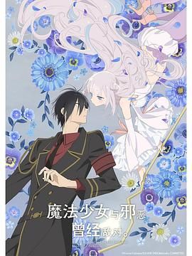 魔法少女与恶曾是敌人 
