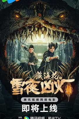 藏海花之雪夜凶灯 