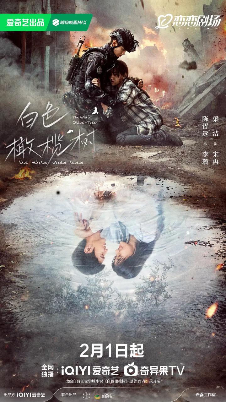 白色橄榄树 