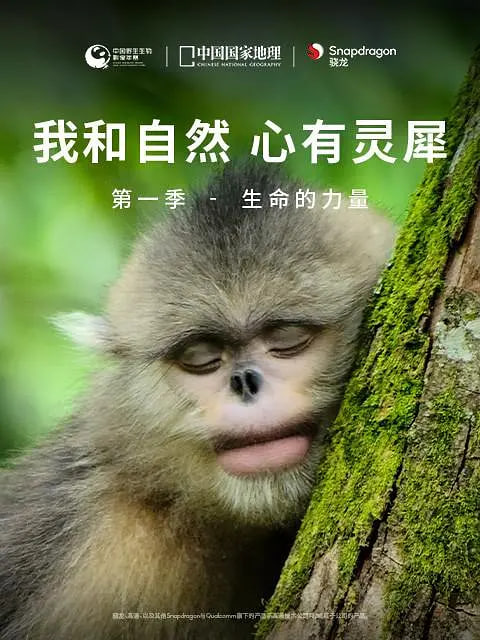 我和自然,心有灵犀,第一季 