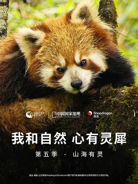 我和自然,心有灵犀,第五季 