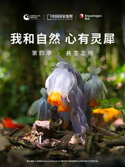 我和自然,心有靈犀,第四季 
