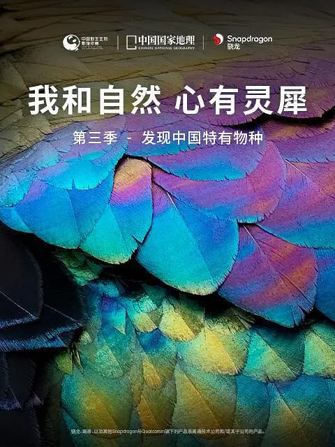 我和自然,心有靈犀,第三季 
