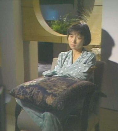 帝女情未了 