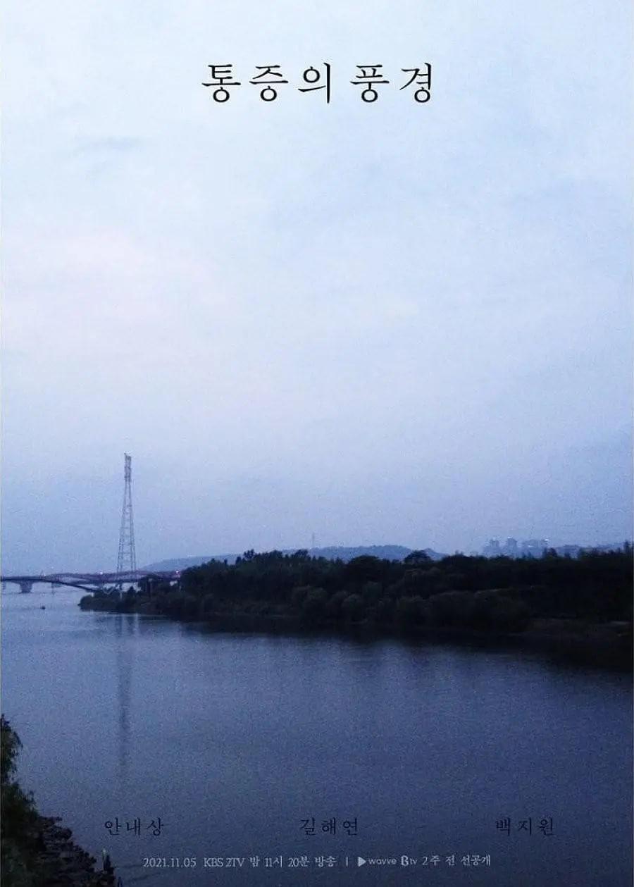 疼痛的风景 