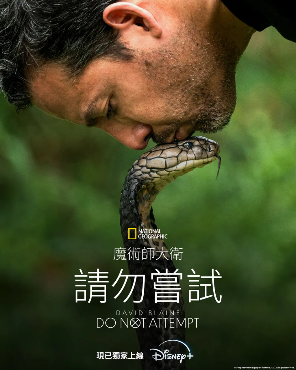 大卫·布雷恩,请勿尝试 