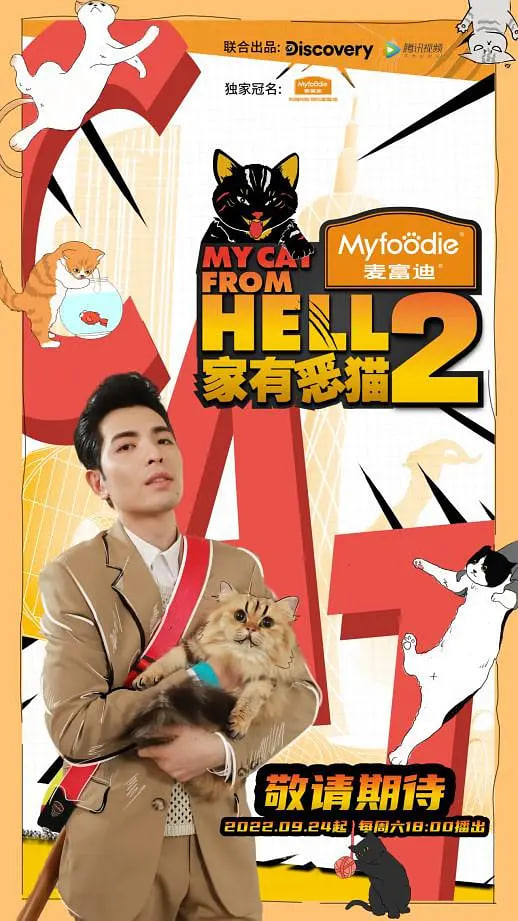 家有恶猫2 