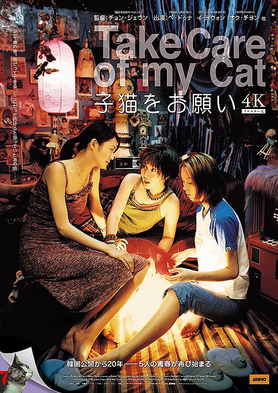 猫样少女 