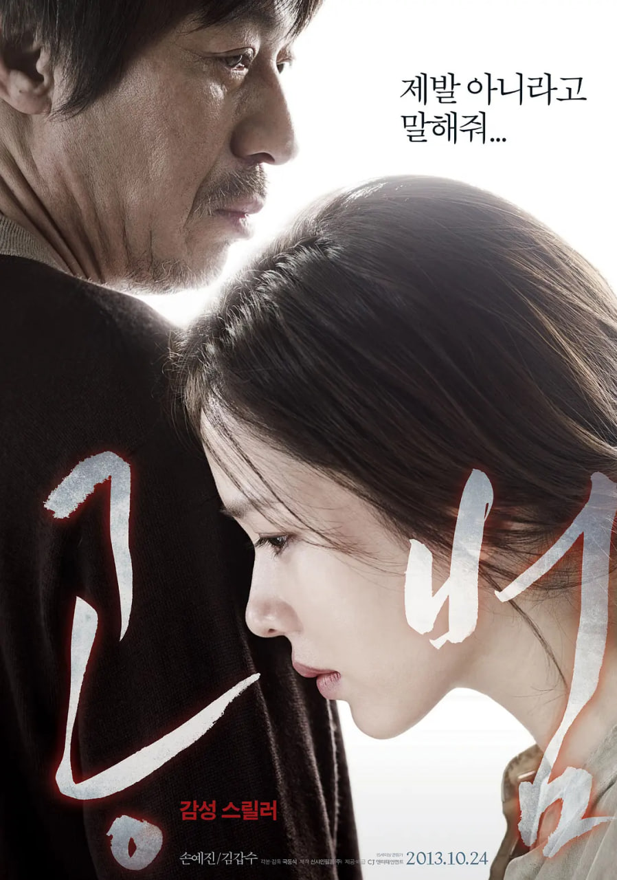 共犯,2013 