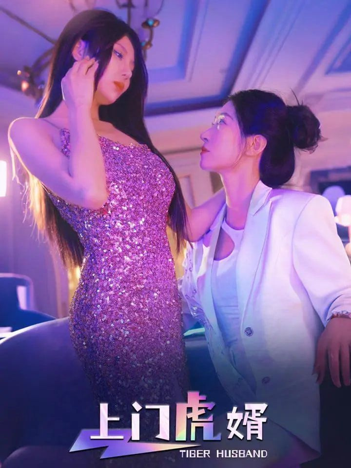 上门虎婿 