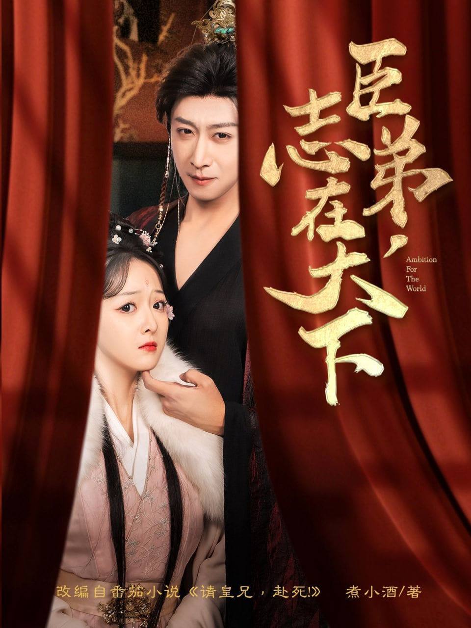 臣弟,志在天下 