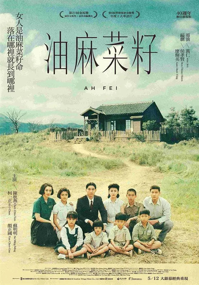 油麻菜籽 